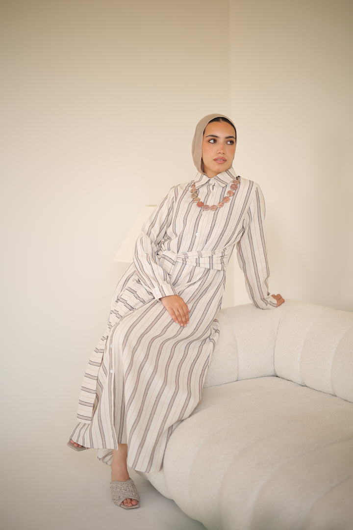 Linea Shirt Dress