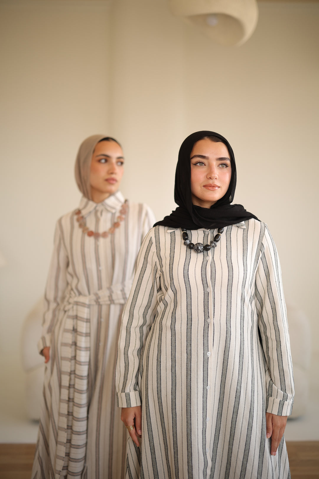 Linea Shirt Dress