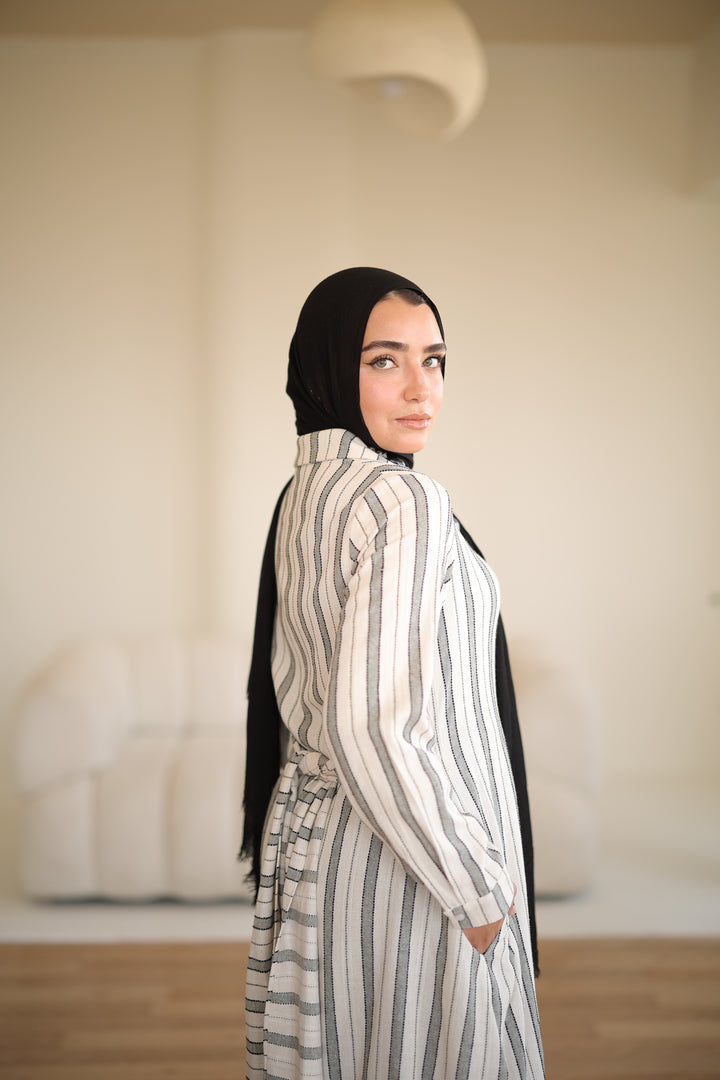 Linea Shirt Dress
